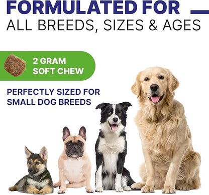 Dog Digestive Support Probiotic Chews - Enzymes, Probiotics, Prebiotics, and Pumpkin for Dogs - Improve Stool Quality and Consistency - Relief from Gas, Constipation, Diarrhea 99ct