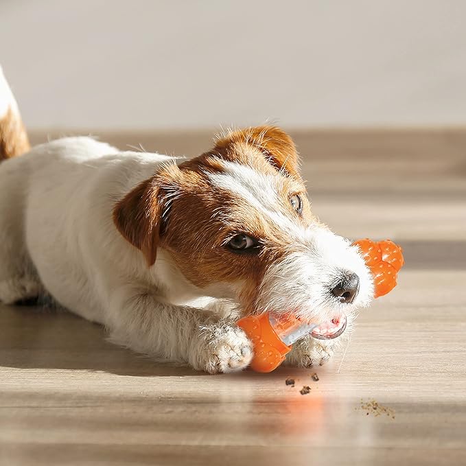 Nylabone Strong Chew Sneaky Snacker Treat Toy for Dogs, Interactive Dog Enrichment Chew Toys, Bacon Flavor, Medium/Wolf - Up to 35 lbs. (1 Count)
