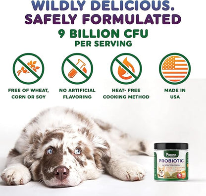 Probiotic Dog Chews for Dog Digestive Enzymes - Dog Diarrhea & Natural Allergy Relief - Puppy Probiotic Chews - Dog Allergy Chews - Pack of 120 Chews