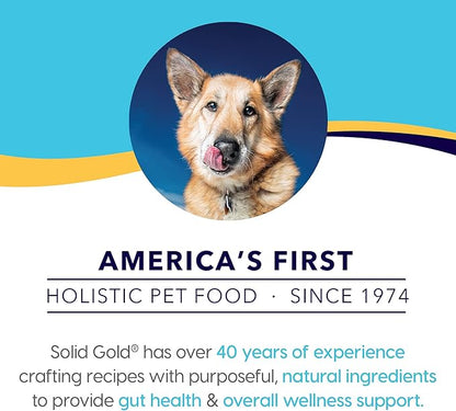 Solid Gold High Protein Wet Dog Food - Barking at The Moon Grain Free with Real Beef - 6Ct/13.2Oz Can…