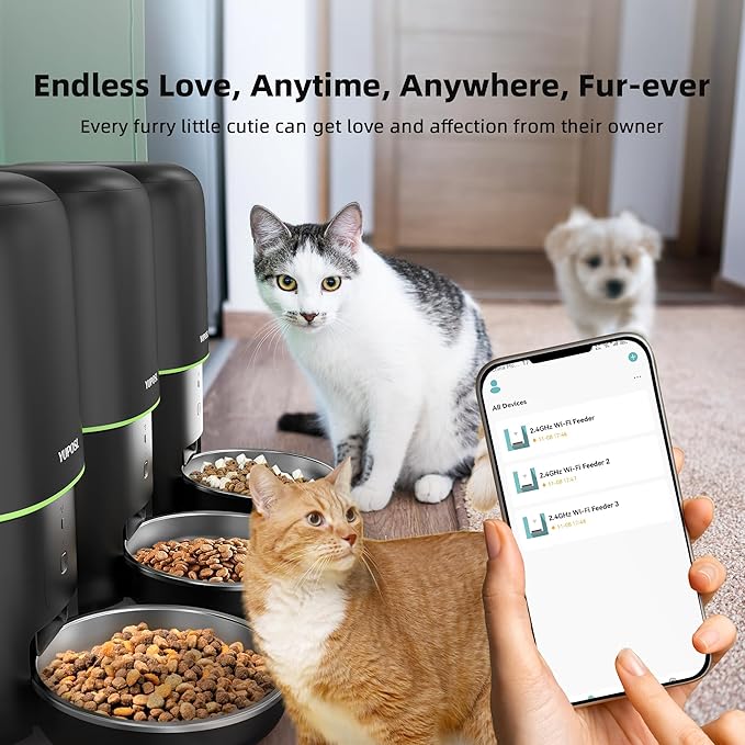 Automatic Cat Feeder WiFi - Easy to Clean 2L/4L WiFi Automatic Cat Feeder for Remote Feeding, Cat Food Dispenser with Lock Feature and Suitable Portion Size, Only 2.4GHz