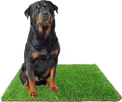 Downtown Pet Supply Replacement Dog Potty Grass, 30 x 40 - Washable Synthetic Grass Pad for Dogs, Suitable as Indoor or Outdoor Grass Pee Turf - Dog Housebreaking Supplies