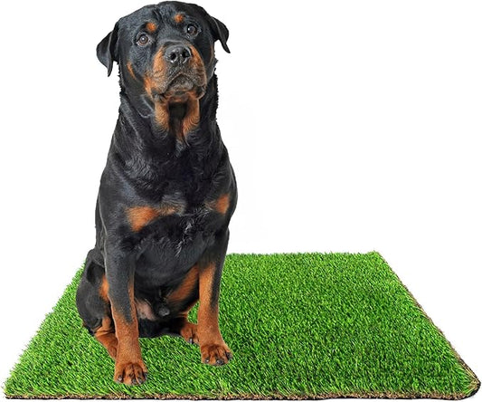 Downtown Pet Supply Replacement Dog Potty Grass, 30 x 40 - Washable Synthetic Grass Pad for Dogs, Suitable as Indoor or Outdoor Grass Pee Turf - Dog Housebreaking Supplies