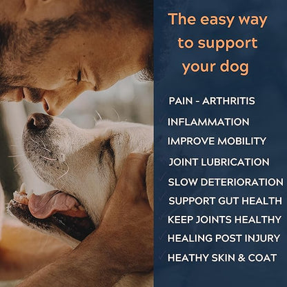 Pure Dogs Hip & Joint Supplement for Large Breed & Small Breed - Dog Joint Pain Relief Chews for Function & Mobility - Glucosamine Chondroitin for Dogs Gut & Digestive Support - 90 Dog Joint Chews