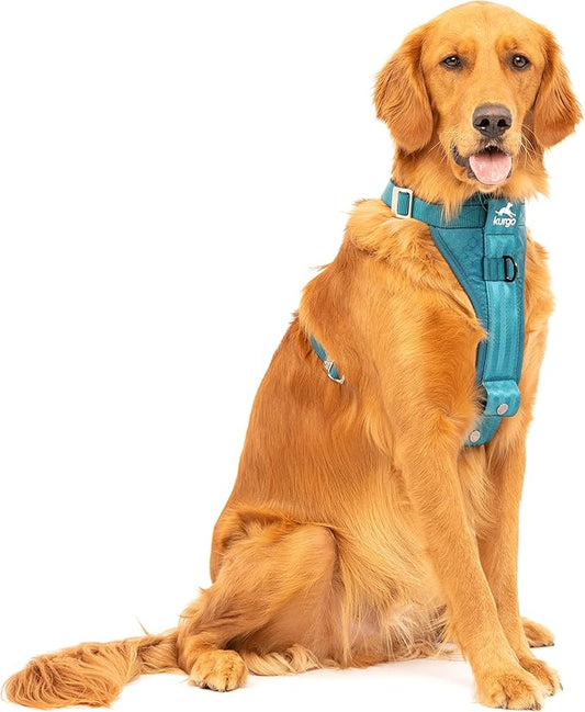Kurgo Tru-Fit Enhanced Strength Dog Harness - Crash Tested Car Safety Harness for Dogs, No Pull Dog Harness, includes Pet Safety Seat Belt, Steel Nesting Buckles (Ink Blue, X-Large)