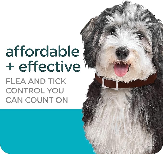 Sergeant's Guardian Flea & Tick Collar for Dogs, 1 Count