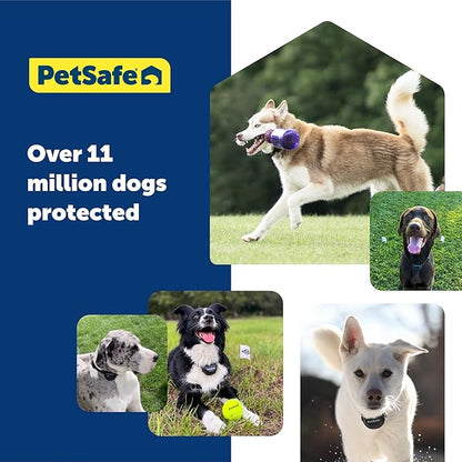 PetSafe Guardian GPS Fence Collar Battery - Extra or Replacement Lithium-Ion Battery - Up to 3 Days Battery Life - Compatible with Guardian GPS Collars Only