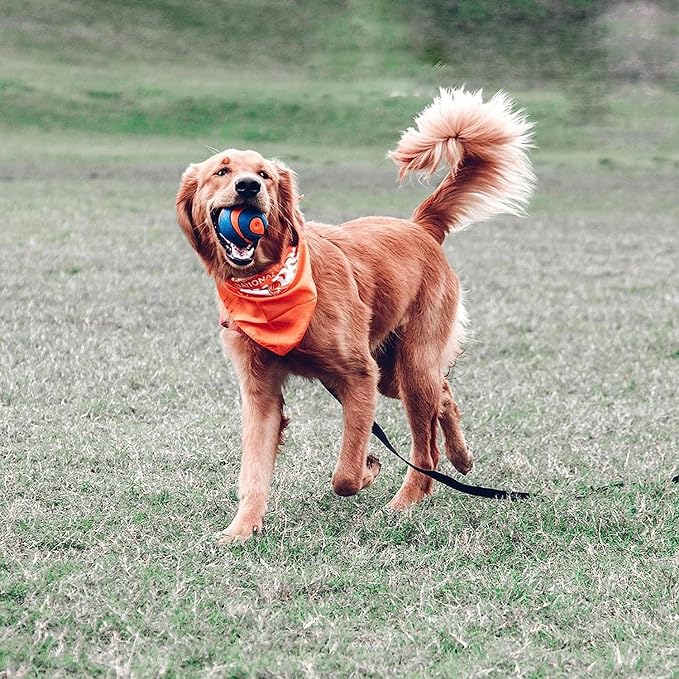 Chuckit! Ultra Squeaker Dog Ball, Fetch Toy, Extra Large - 3.5 inch, For 100lb and over, 1 Pack