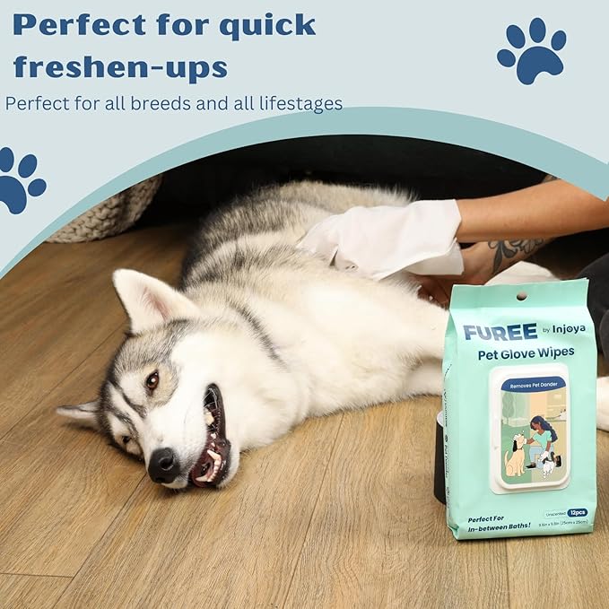 Injoya Pet Glove Wipes, Resealable Pack of 12 Pet Grooming Gloves, Portable Deodorizing Cleaning Gloves for Dogs, Non-Toxic, Lick Safe, Mild Fresh Scent, Hypoallergenic, Moisturizing, Bath Alternative