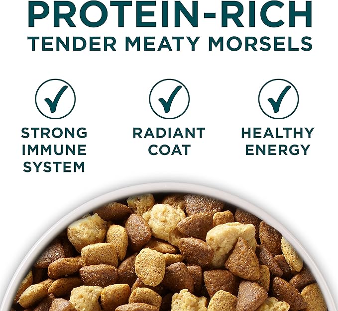 Purina ONE Plus Large Breed Puppy Food Dry Formula - 16.5 lb. Bag