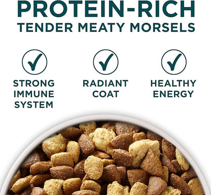 Purina ONE Plus Large Breed Puppy Food Dry Formula - 16.5 lb. Bag