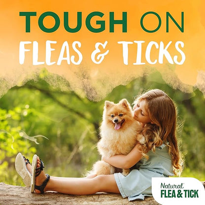 Natural Flea & Tick Soothing Shampoo & Bedding Spray Bundle | Flea & Tick Prevention | Dog Shampoo | Flea & Tick Treatment Protects & Repels | Made in The USA