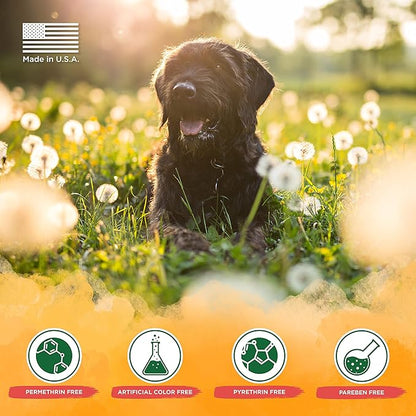 TropiClean Natural Flea and Tick Bite Relief for Dogs | Advanced Care Itch | Relief Flea Spray for Dogs | Made in the USA | 8 oz