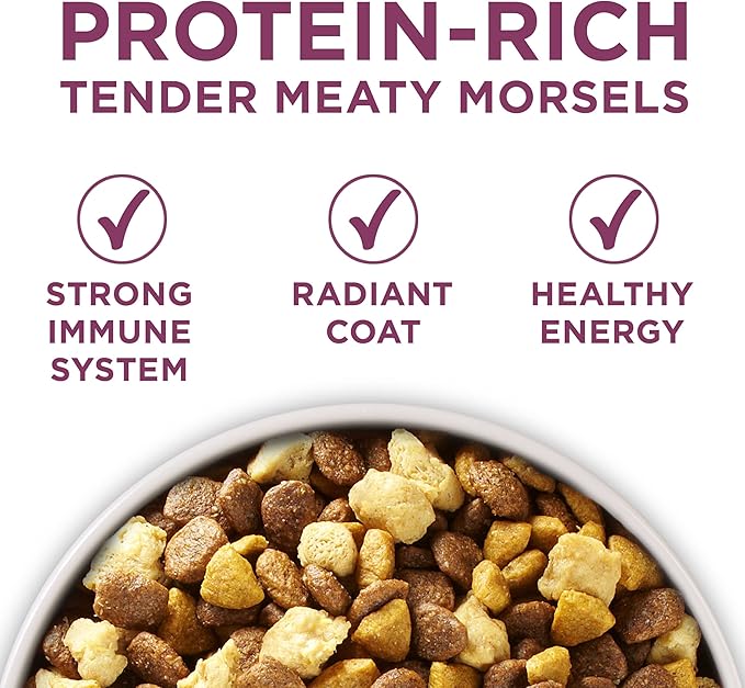 Purina ONE Plus Healthy Puppy Formula High Protein Natural Dry Puppy Food with added vitamins, minerals and nutrients - 8 lb. Bag