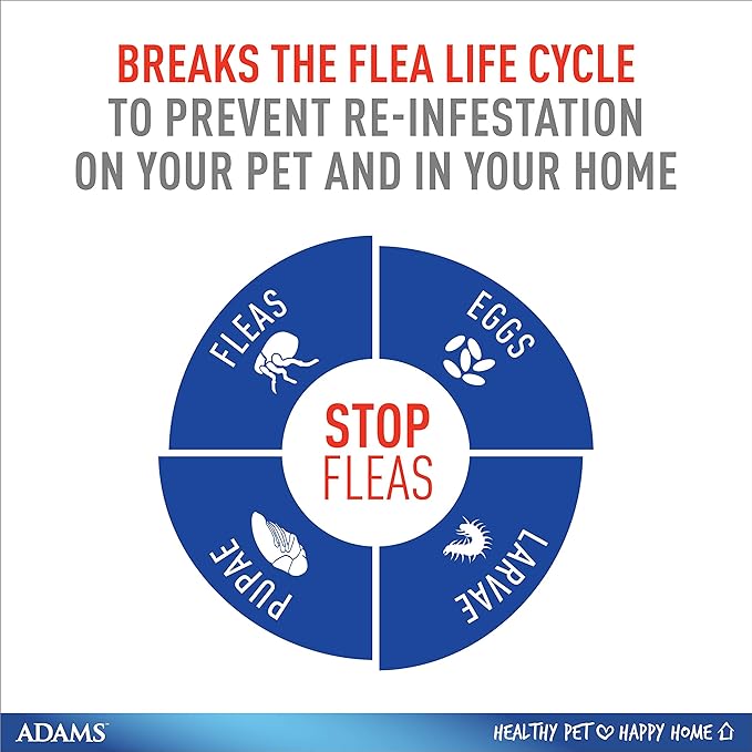 Adams Flea & Tick Collar Plus for Dogs & Puppies |2 Pack |12-Month Protection |One Size Fits All Dogs & Puppies 12 Weeks and Older |Kills Fleas and Ticks |Repels Mosquitoes (excluding California)