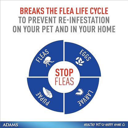 Adams Flea & Tick Collar Plus for Dogs & Puppies |2 Pack |12-Month Protection |One Size Fits All Dogs & Puppies 12 Weeks and Older |Kills Fleas and Ticks |Repels Mosquitoes (excluding California)