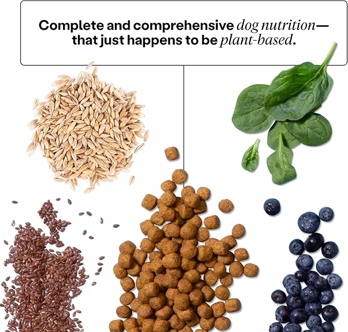 Wild Earth Vegan Dry Dog Food Performance Formula | Plant-Based Vegetarian Kibble | Wheat-Free, Allergen-Free, Veterinarian-Developed | Veggie Chick'n Kabob Flavor, 4lb Bag