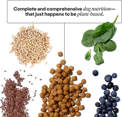 Wild Earth Vegan Dry Dog Food Performance Formula | Plant-Based Vegetarian Kibble | Wheat-Free, Allergen-Free, Veterinarian-Developed | Veggie Chick'n Kabob Flavor, 4lb Bag