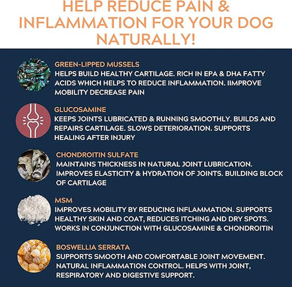 Pure Dogs Hip & Joint Supplement for Large Breed & Small Breed - Dog Joint Pain Relief Chews for Function & Mobility - Glucosamine Chondroitin for Dogs Gut & Digestive Support - 90 Dog Joint Chews