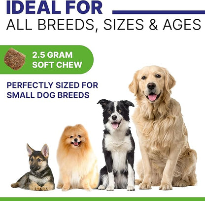 ADVANCED Hemp Hip & Joint Supplement for Dogs - Glucosamine for Dogs - Dog Joint Pain Relief Treats - Chondroitin Turmeric MSM Hemp Oil - Hemp Treats for Joint Health - Peanut Butter