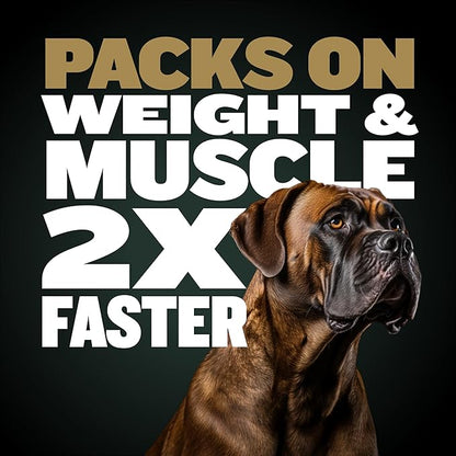 Bully Max Protein Powder for Dogs | Supports Muscle Building & Muscle Gain | #1-Rated Performance Brand Since 2009 | for Dogs of all Ages | 368 Grams
