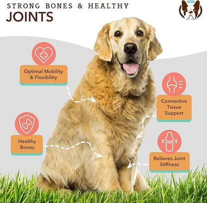 Healthy Joints, Skin and Coat Bundle for Dogs, includes (1) 16 oz bottle Natural Dog Company Skin and Coat Oil, (1) 16 oz bottle Liquid Glucosamine, Food Topper, Dog's Fish Oil Supplement
