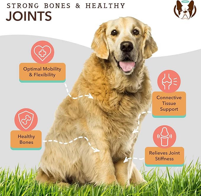 Healthy Joints, Skin and Coat Bundle for Dogs, includes (1) 16 oz bottle Natural Dog Company Skin and Coat Oil, (1) 16 oz bottle Liquid Glucosamine, Food Topper, Dog's Fish Oil Supplement