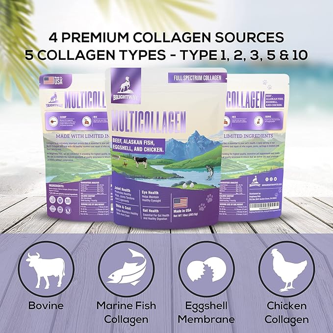 Multi-Collagen Peptide Dog Joint Supplement for Dogs- Arthritis Support- Skin & Coat Health, Allergies, Dog Mobility Hip & Joint Pain Supplement Relief, Collagen for Dogs