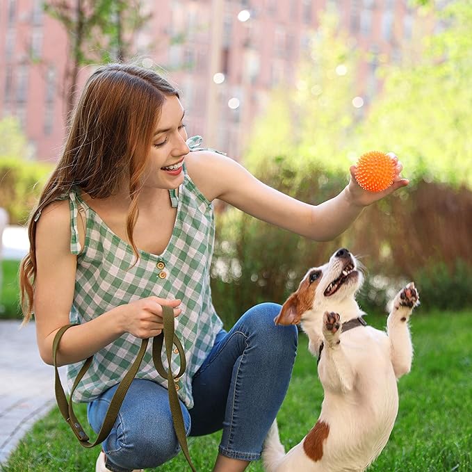 Nutrish Rachael Ray Little Bites Dry Dog Food, Chicken & Veggies Recipe for Small Breeds, 6 Pounds