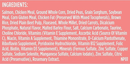 Rachael Ray Nutrish Salmon Dry Dog Food, 26 Pound Bag
