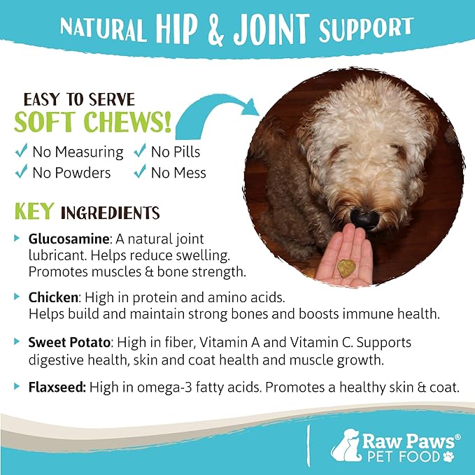 Raw Paws Hip and Joint Treats for Dogs, 10-oz/100-ct - Made in USA - Soft, Chewable Dog Arthritis Supplement - Dog Glucosamine Chews Increases Mobility, Reduces Pain, Inflammation & Hip Dysplasia