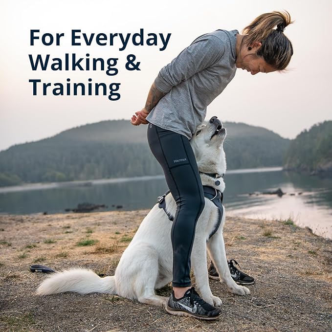 Ruffwear, Front Range Dog Harness, Reflective and Padded, No Pull Harness for Training and Everyday, Basalt Gray, XX-Small