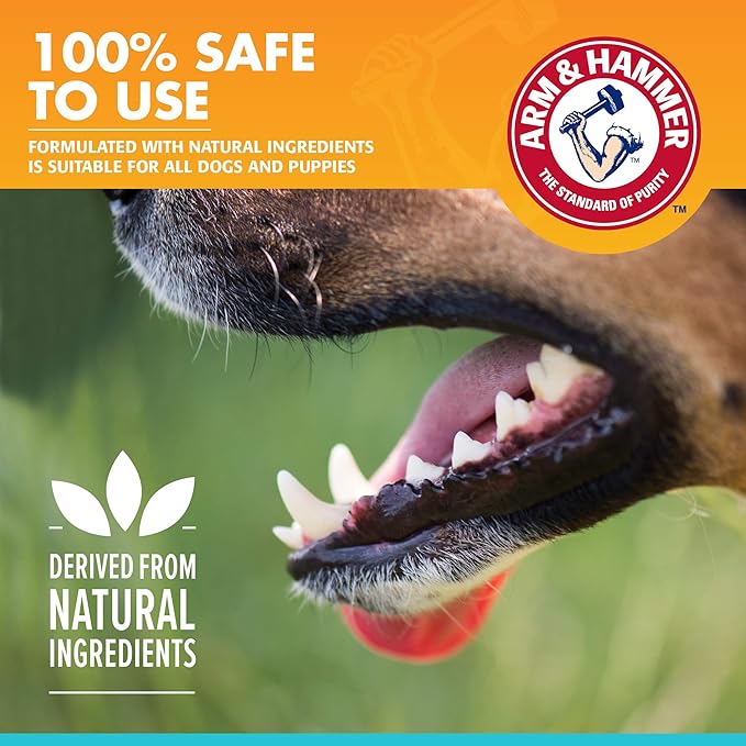 Arm & Hammer for Pets Clinical Care Dental Enzymatic Toothpaste for Dogs | Soothes Inflamed Gums | Safe for Puppies 1 Pack Fresh Breath Vanilla Ginger
