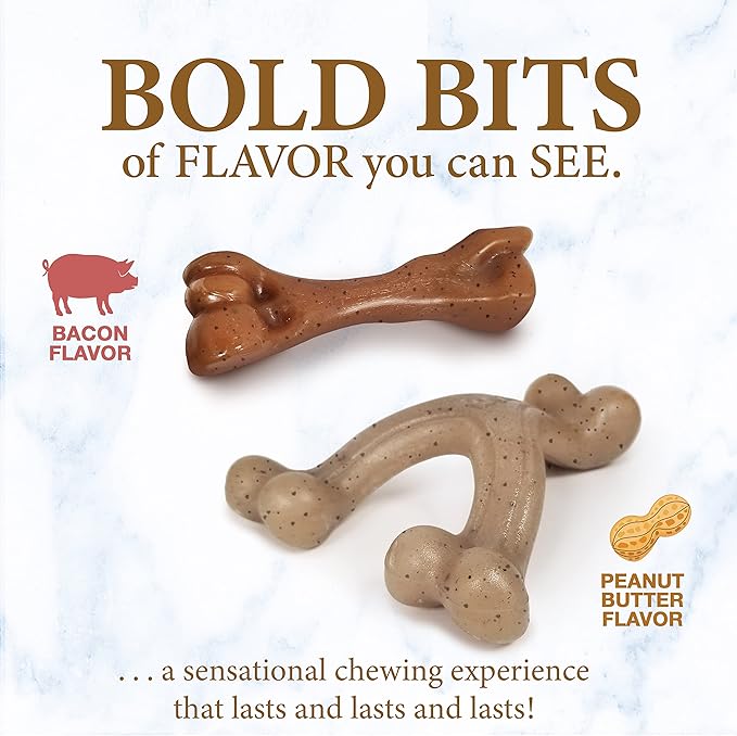 Nylabone Puppy Gourmet Style Strong Chew Toy Bacon, Peanut Butter Small/Regular (2 Count)