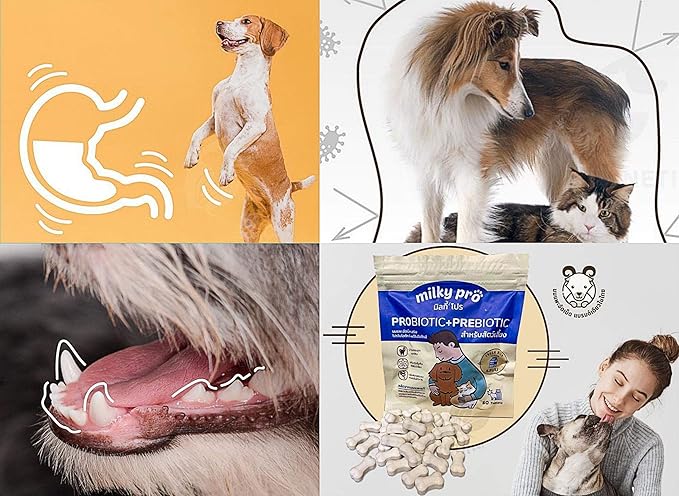 MILKYPRO X2 Pcs 100 Tablets Sterilized Goat Milk Replacer Pellets for Dog Puppy Cat Pet Milk Replacer Supplement Protein Calcium Nourish Bone Teeth Strengthens Immunity Puppies Milk Replacement 140 g.