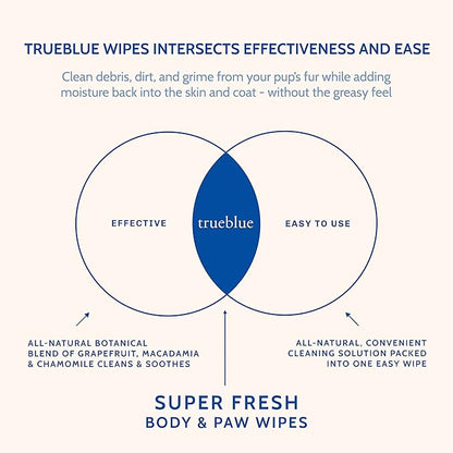 TrueBlue Super Fresh Body and Paw Wipes for Dogs and Puppies - Clean dirty paws and for deodorizing - Extra Large, Non-Toxic - 8"x7" - 100 Count