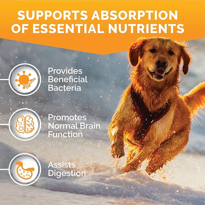 Premium Care Probiotics for Dogs for Yeast, Itchy Skin and Itchy Ears - Advanced Probiotic for Gut Health, Gut Flora, Bowel Health Support, Diarrhea, Digestive Health & Seasonal Allergies- 120 chews