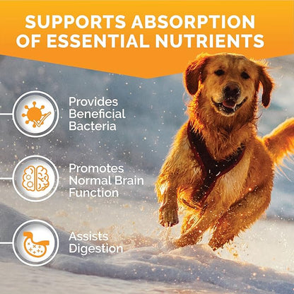 Premium Care Probiotics for Dogs for Yeast, Itchy Skin and Itchy Ears - Advanced Probiotic for Gut Health, Gut Flora, Bowel Health Support, Diarrhea, Digestive Health & Seasonal Allergies- 120 chews