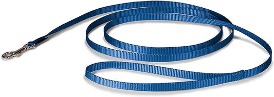 PetSafe Nylon Dog Leash - Strong, Durable, Traditional Style Leash with Easy to Use Bolt Snap - 3/8 in. x 6 ft., Royal Blue