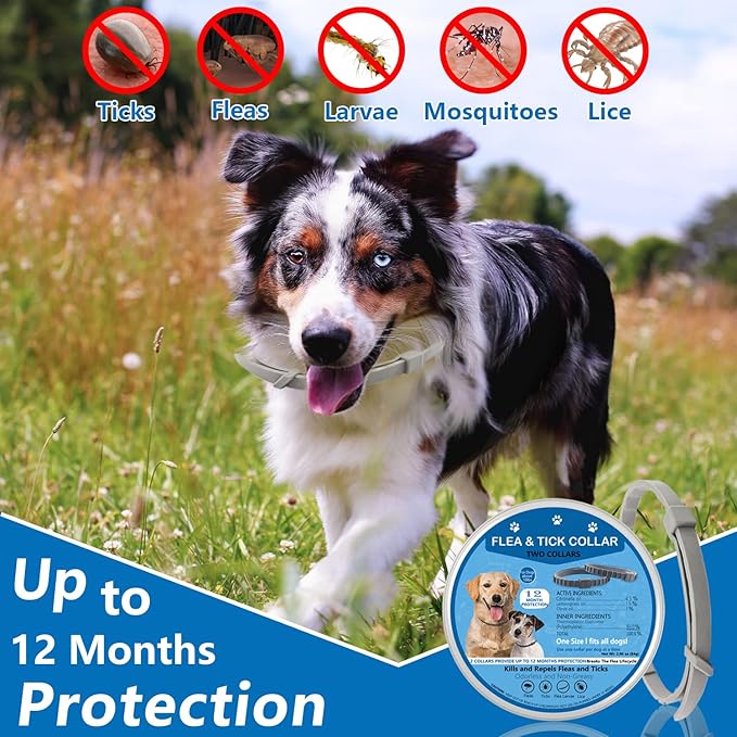 Flea Collar for Dogs - 2 Pack Dog Flea Collar - 12 Months Natural Flea and Tick Prevention for Small, Medium, Large Dogs - Adjustable & Safe - Free Flea Comb