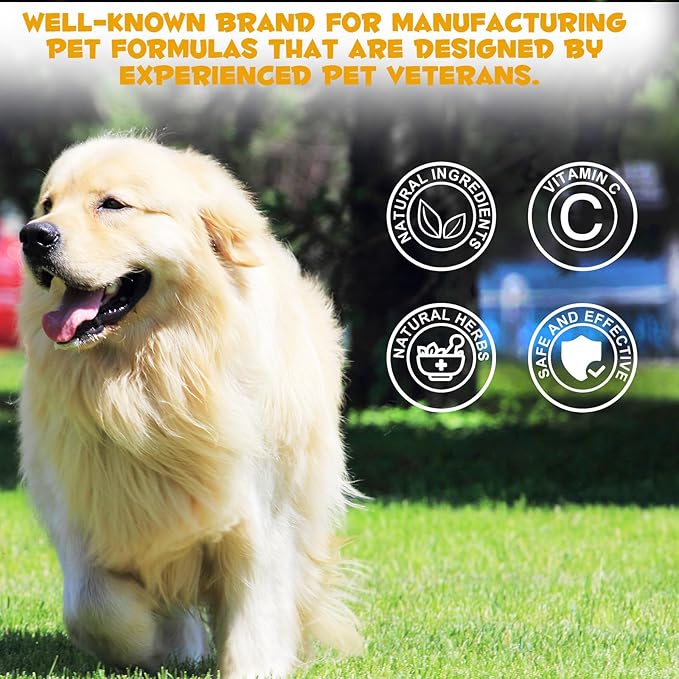Allergy Immune Anti Itch & Hot Spots for Dogs, Dog Itch Relief, Itch Relief for Dogs, Skin & Coat Immune Health Supplement for Dogs, Dog Allergy Relief with Elderberry Vitamins (2.02 Oz)