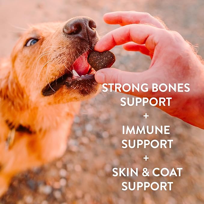 Shameless Pets Soft-Baked Dog Treats, Vegetarian Variety 3-Pack - Natural & Healthy Dog Chews for Small, Medium & Large Dogs - Dog Biscuits Baked & Made in USA, Free from Grain, Corn & Soy