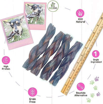 Nature Gnaws Braided Beef Jerky Chews for Dogs - Premium Natural Beef Gullet Sticks - Simple Single Ingredient Tasty Dog Chew Treats - Rawhide Free 3 Count (Pack of 1)