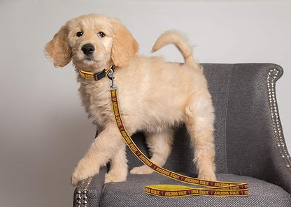 Pets First Collegiate Pet Accessories, Dog Leash, Arizona State Sun Devils, Medium