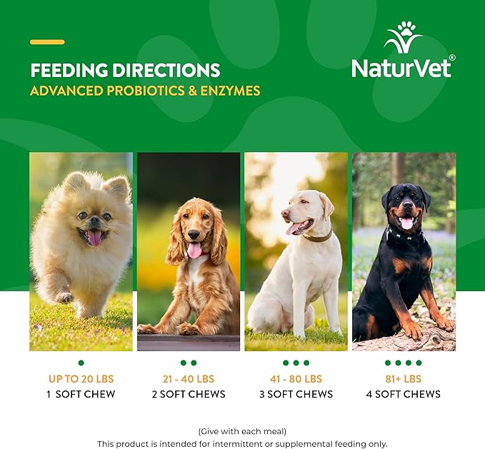 Veterinarian Strength Advanced Probiotics, Healthy Enzymes and PB6 Probiotic Supplement For Your Dogs Stomach, Intestine, Digestion and GI Tract health, Made by NaturVet, 120 Soft Chews