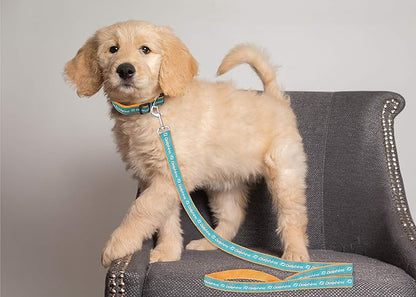 NFL PET Leash, Medium, Miami Dolphins Dog Leash, Football Team Leash for Dogs & Cats. A Shiny & Colorful Dog & Cat Leash with Embroidered Team Name/Logo Licensed by the NFL