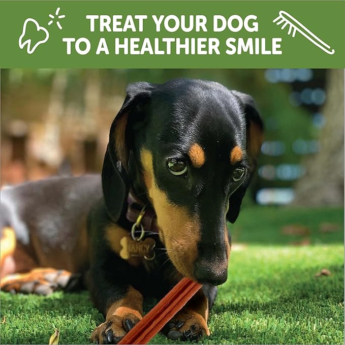 WHIMZEES by Wellness Dental Chews for Dogs, Natural, Long Lasting Treats for Cleaner Teeth & Fresher Breath, Grain Free & Hypoallergenic, 28 Chews