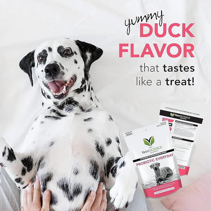 VetriScience Probiotic Everyday for Dogs, Duck Flavor, 120 Chews & Omega Plus Advanced Skin Supplement for Dogs, 40 Chews
