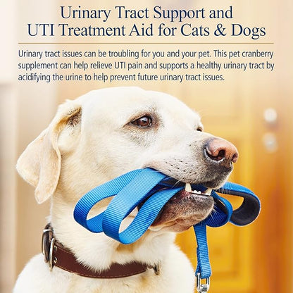 Rx Vitamins Cranberry Pills for Dogs - Cat Urinary Tract Medicine Support - UTI Treatment for Pets - Dog & Cat Urinary Relief Aid - 90 Cap.