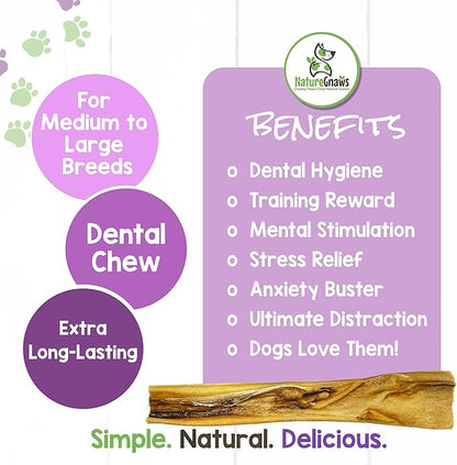 Nature Gnaws - Hide Sticks for Dogs - Premium Natural Beef Dental Bones - Long Lasting Dog Chew Treats for Aggressive Chewers - Puppy Training Reward (Pack of 2)